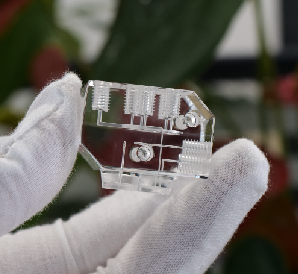 Two Decades of Expertise