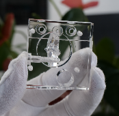 Urban Micro-Landscape Scenario